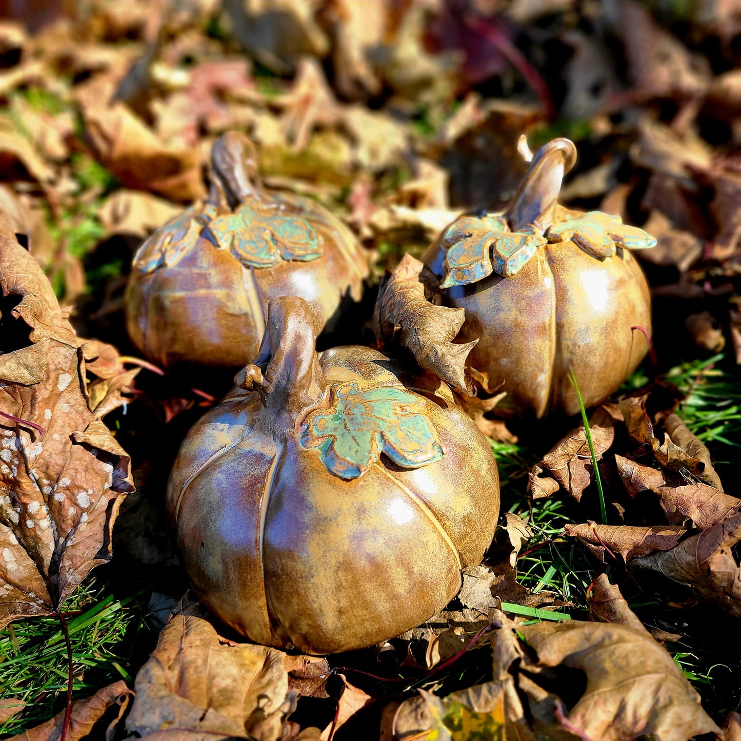 Brown Pumpkins & Green Apples