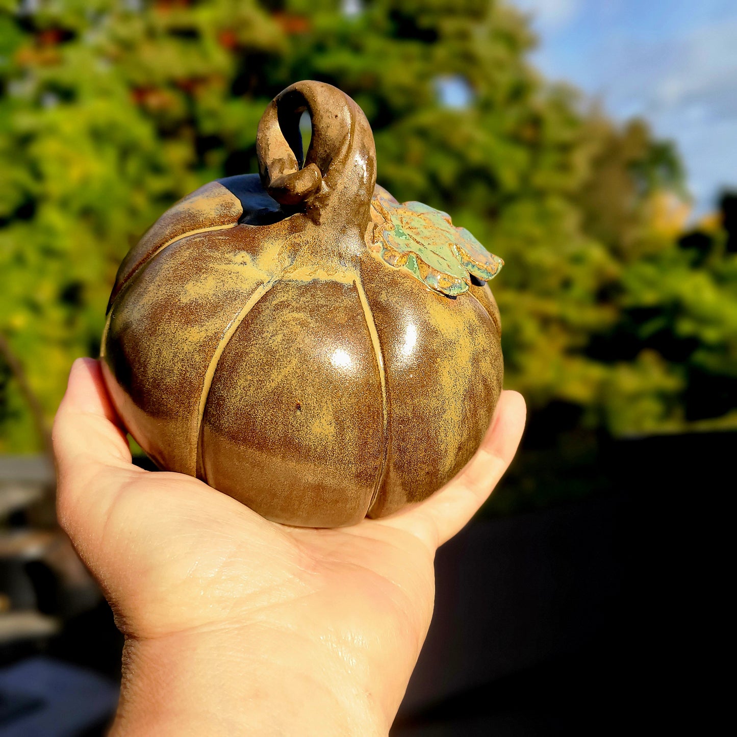 Brown Pumpkins & Green Apples